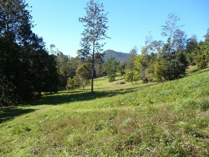 111 Mount Warning Road, Mount Warning NSW 2484