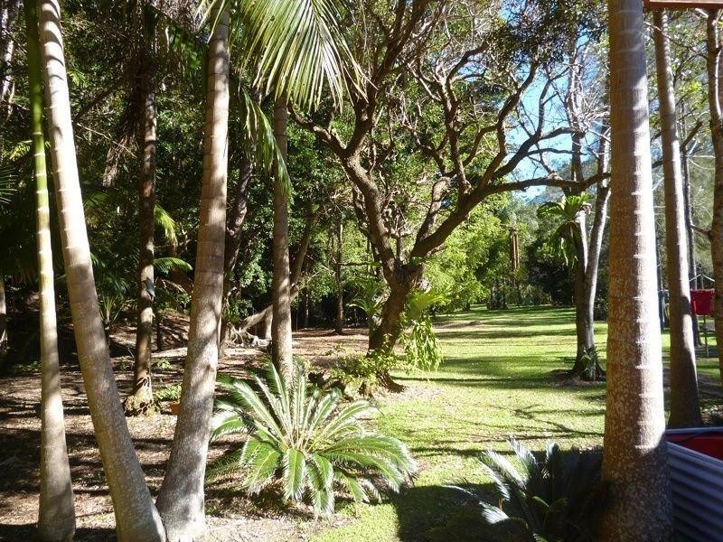 111 Mount Warning Road, Mount Warning NSW 2484