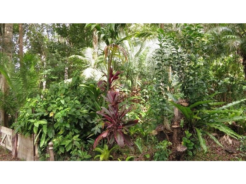 7 Sunrise Place, Uki NSW 2484