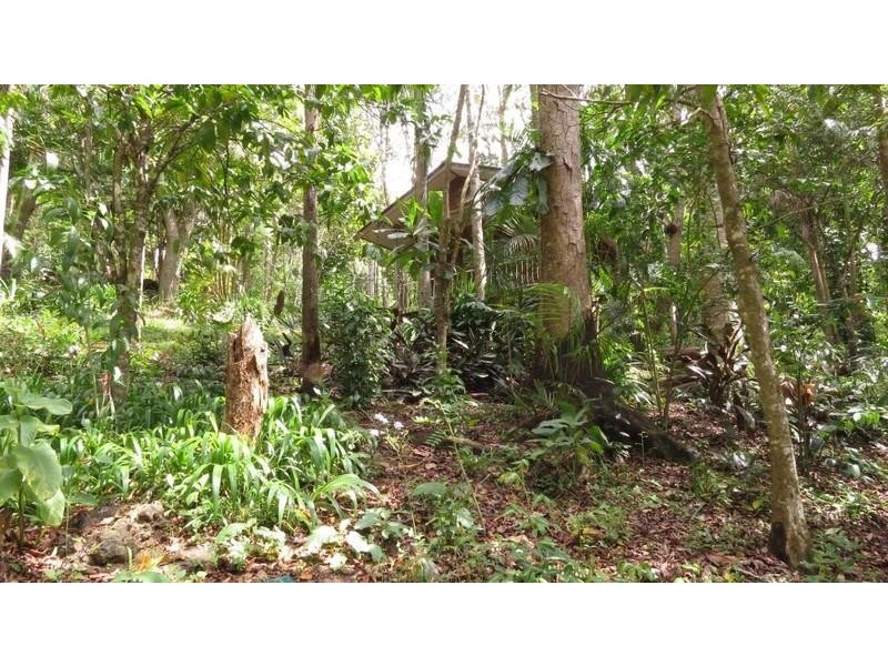 7 Sunrise Place, Uki NSW 2484