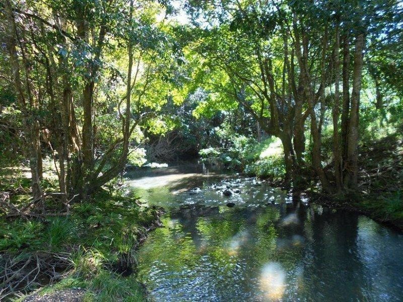 198 Rowlands Creek Road, Uki NSW 2484