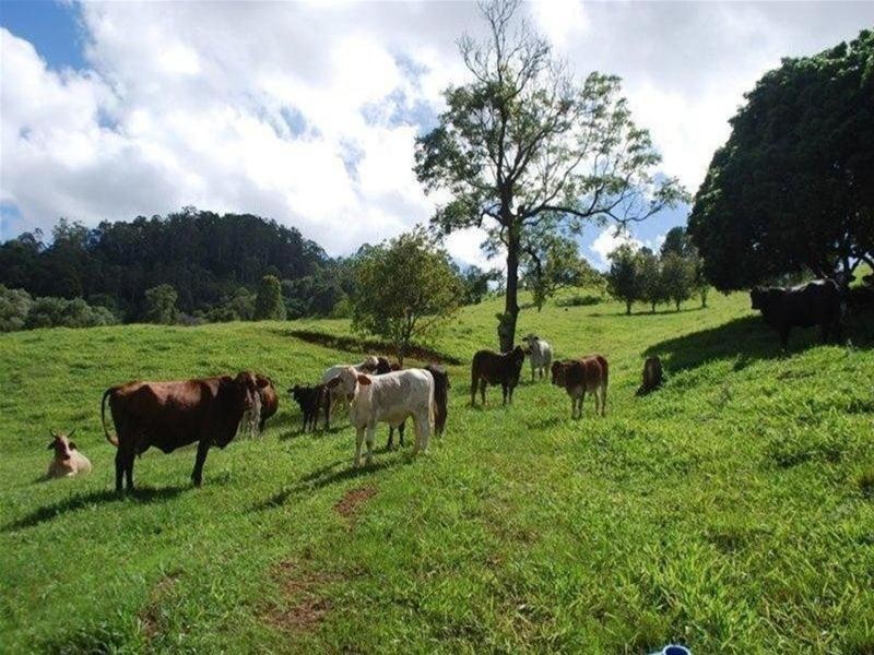 13 Pigeonberry Road, Nobbys Creek NSW 2484