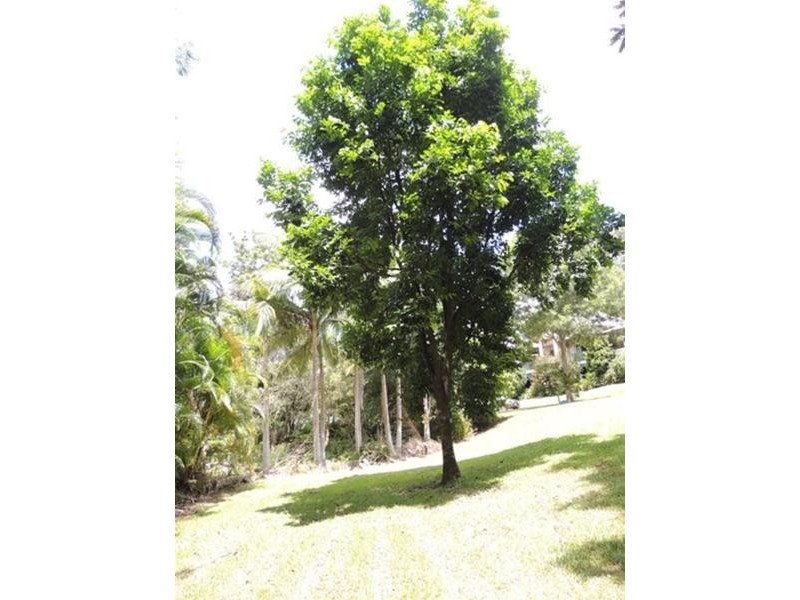 13 Pigeonberry Road, Nobbys Creek NSW 2484