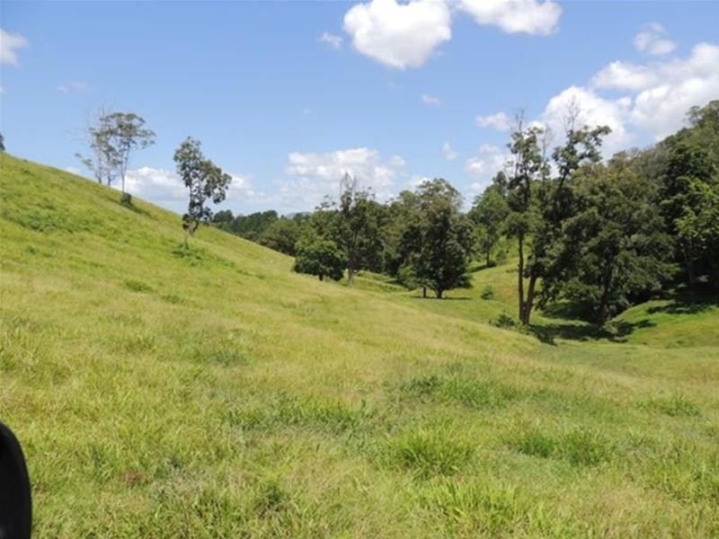 13 Pigeonberry Road, Nobbys Creek NSW 2484