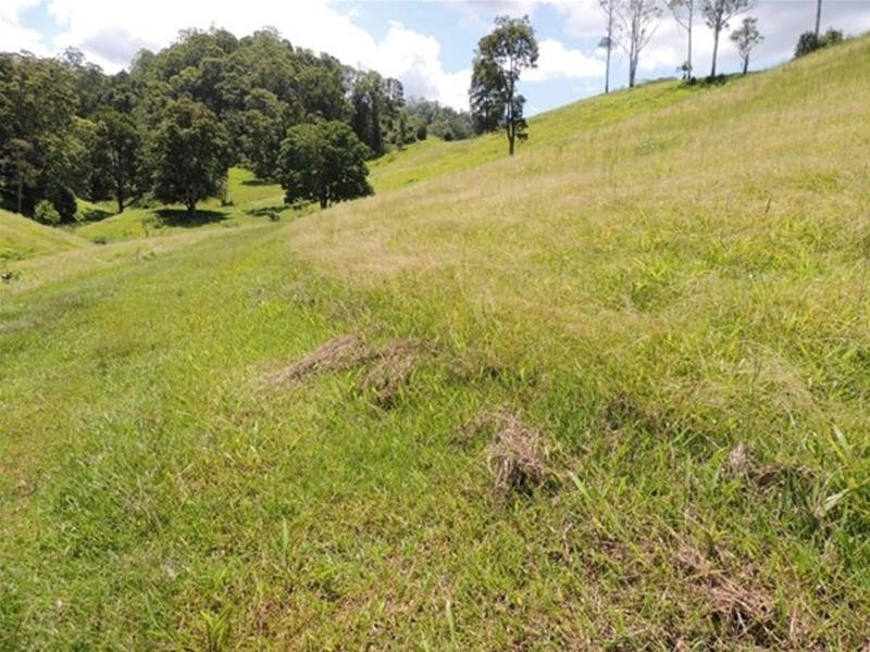 13 Pigeonberry Road, Nobbys Creek NSW 2484