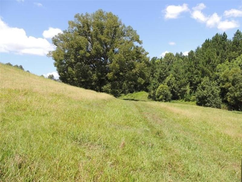 13 Pigeonberry Road, Nobbys Creek NSW 2484