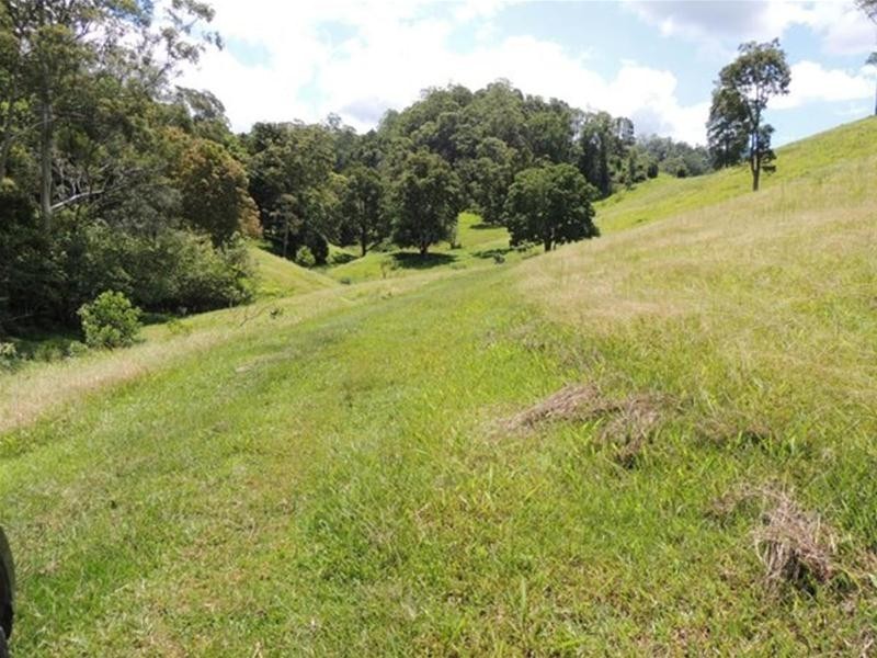 13 Pigeonberry Road, Nobbys Creek NSW 2484