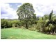 220 Nobbys Creek Road, Nobbys Creek NSW 2484