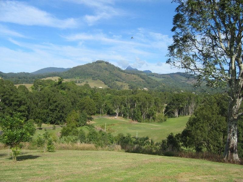 220 Nobbys Creek Road, Nobbys Creek NSW 2484