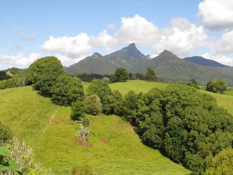 52 Malabar Avenue, Uki NSW 2484