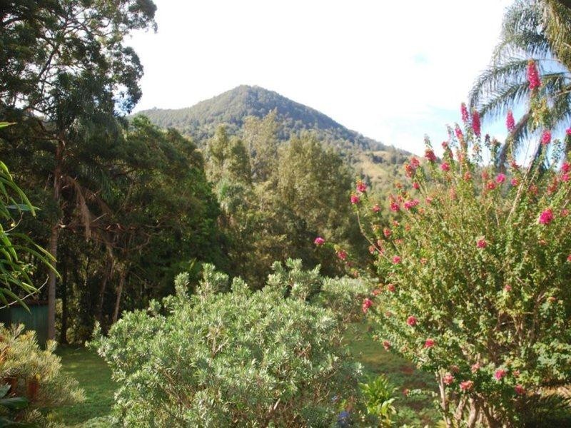 25 Kirbys Road, Limpinwood NSW 2484