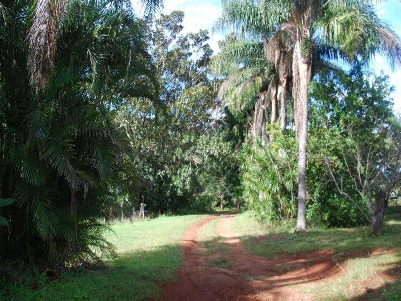 25 Kirbys Road, Limpinwood NSW 2484