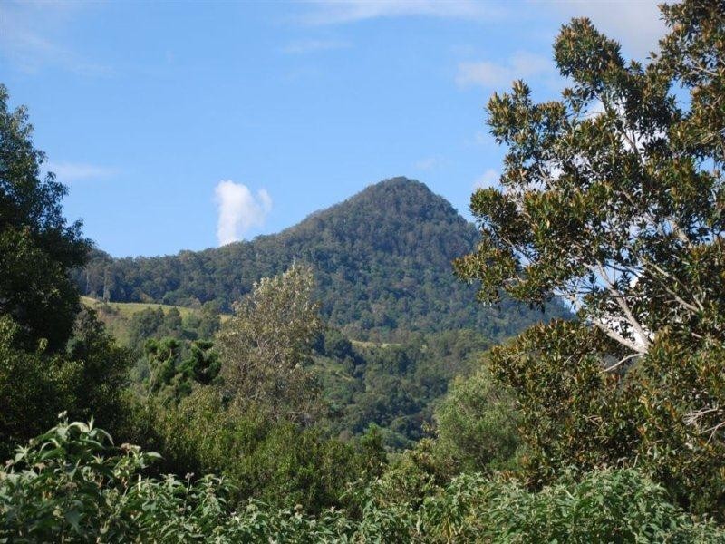 25 Kirbys Road, Limpinwood NSW 2484