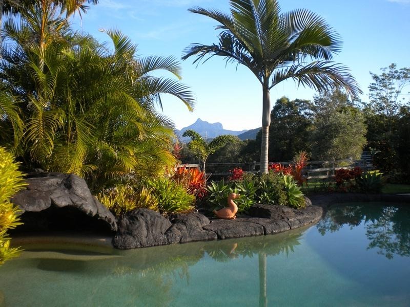 58 Colefax Court, Murwillumbah NSW 2484