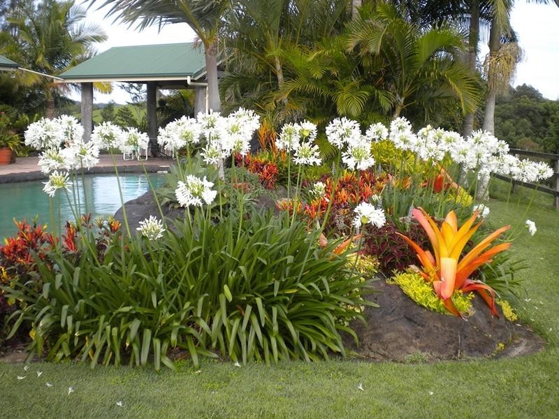 58 Colefax Court, Murwillumbah NSW 2484