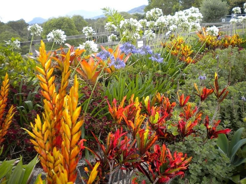 58 Colefax Court, Murwillumbah NSW 2484