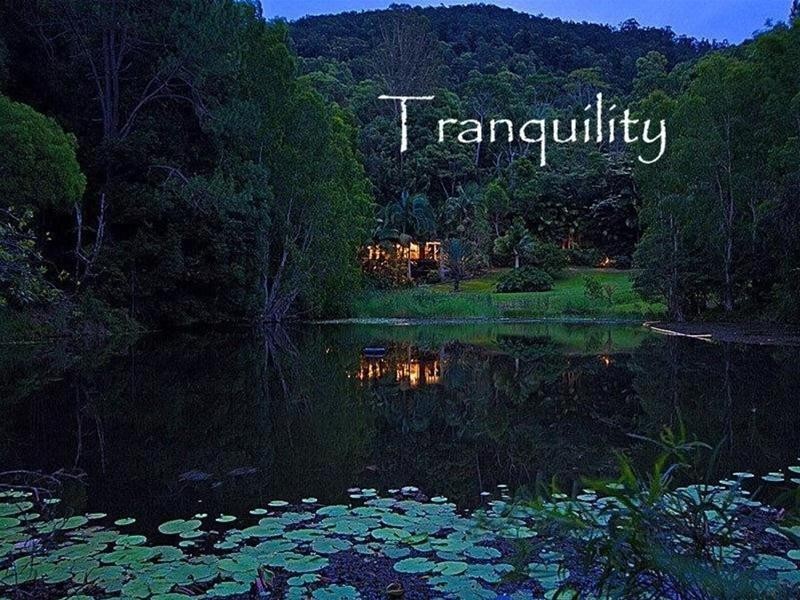 112 Mount Warning Road, Murwillumbah NSW 2484