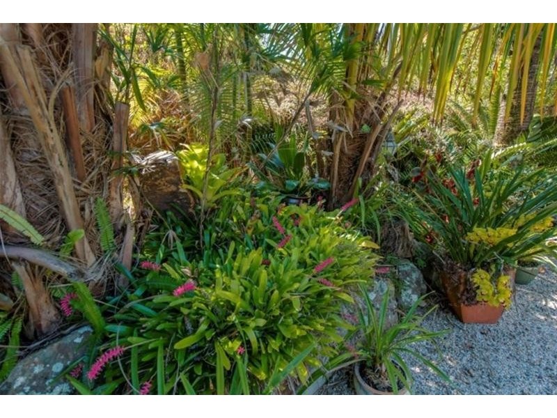 37 Solomons Road, Mt Warning, Uki NSW 2484
