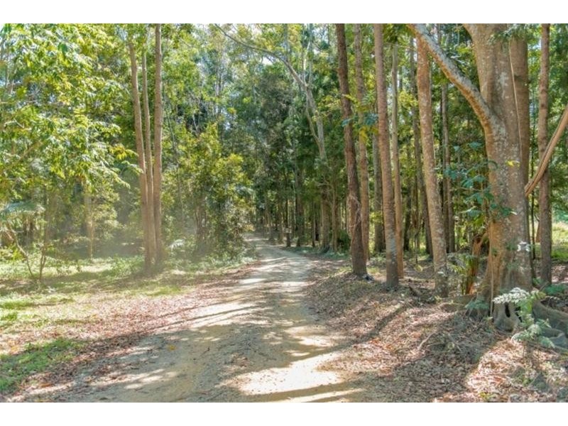 37 Solomons Road, Mt Warning, Uki NSW 2484