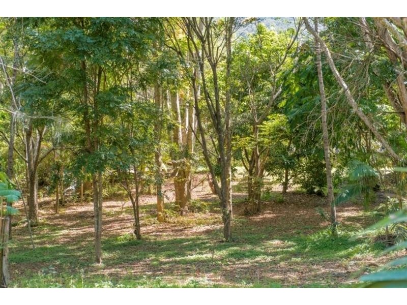 37 Solomons Road, Mt Warning, Uki NSW 2484