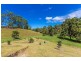 921 Round Mountain Road, Round Mountain NSW 2484