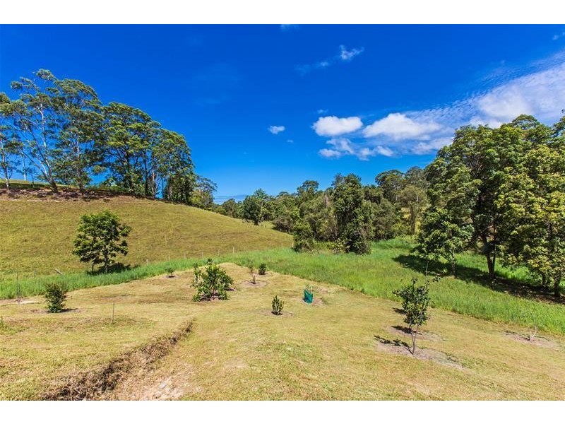 921 Round Mountain Road, Round Mountain NSW 2484