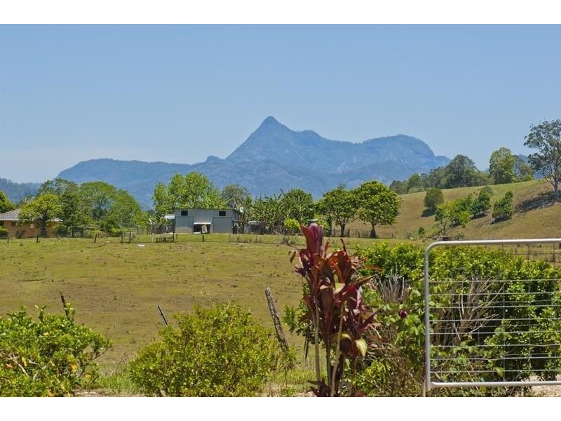 293 Upper Crystal Creek Road, Upper Crystal Creek NSW 2484