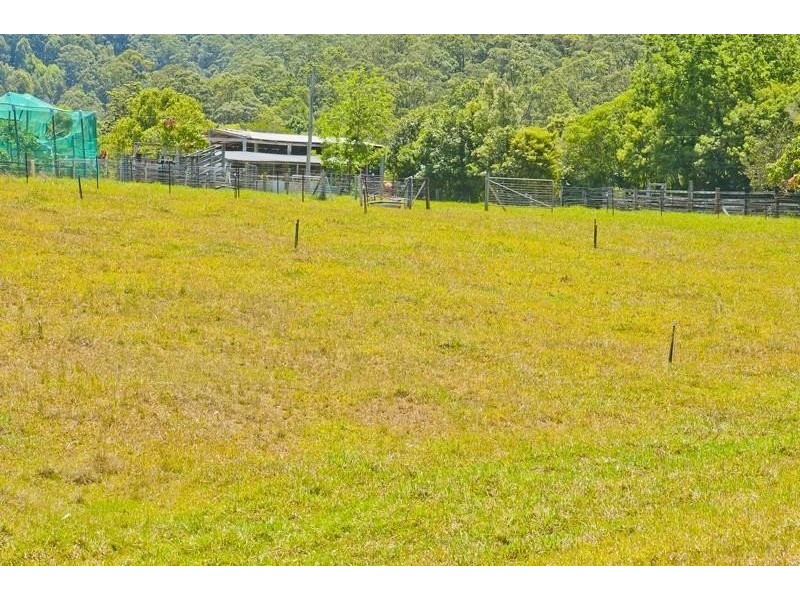 293 Upper Crystal Creek Road, Upper Crystal Creek NSW 2484