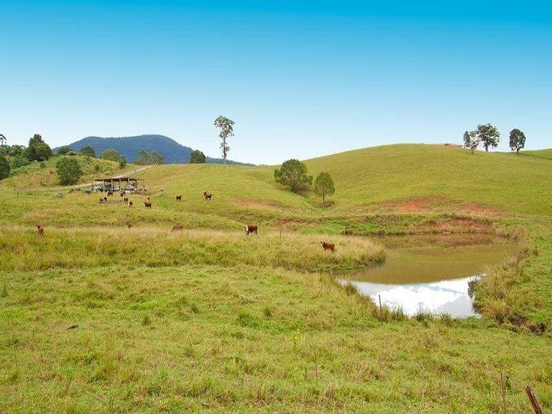 46 Possumwood Close, Tyalgum NSW 2484