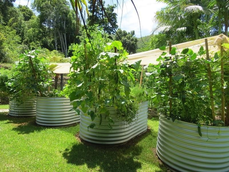 155 Braeside Drive, Uki NSW 2484