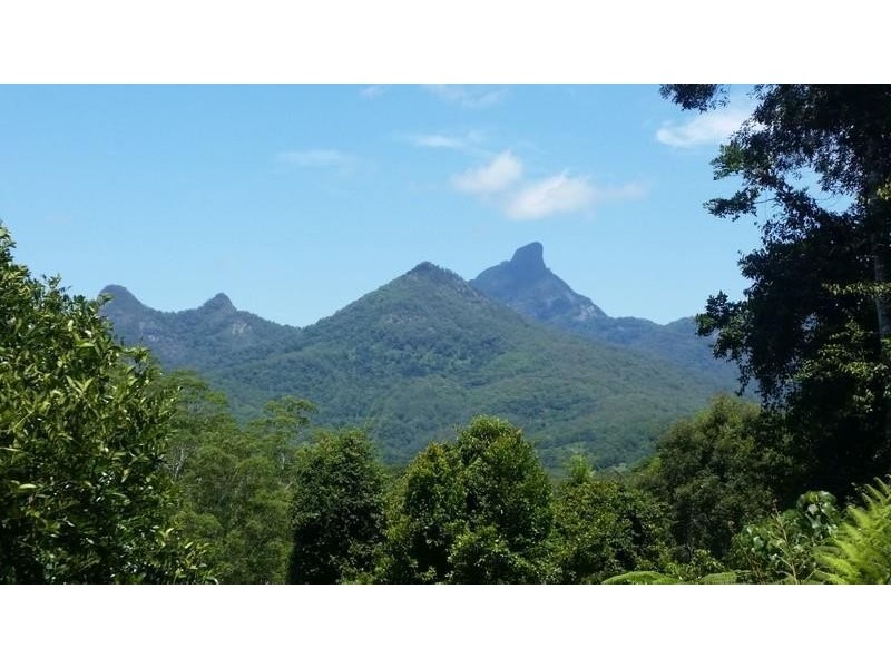 155 Braeside Drive, Uki NSW 2484