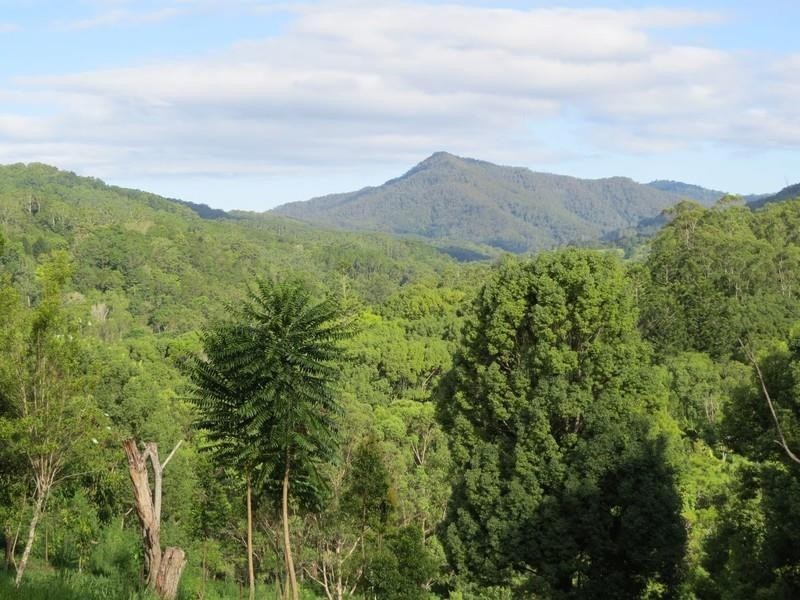 196 Rowlands creek Road, Uki NSW 2484