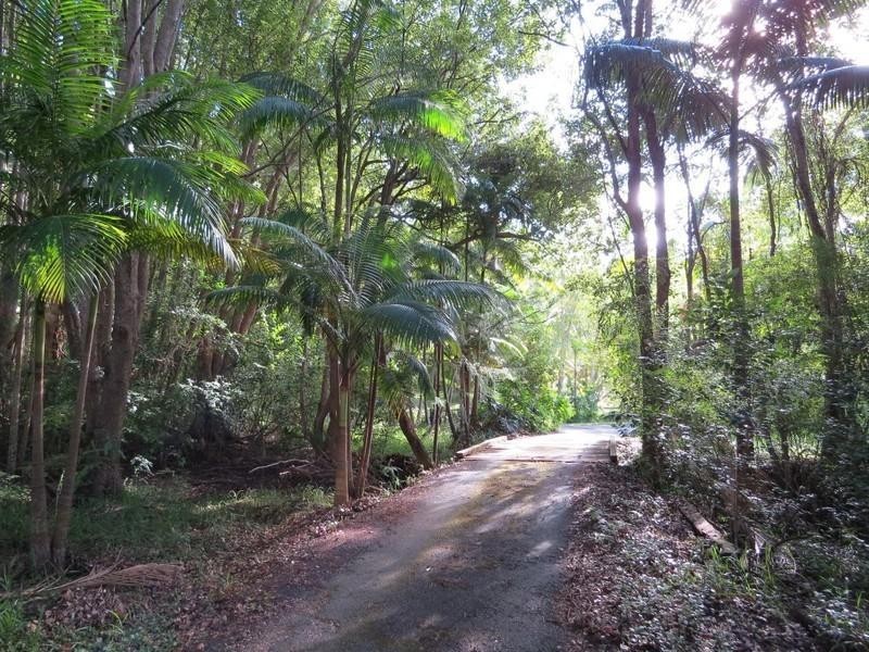 196 Rowlands creek Road, Uki NSW 2484