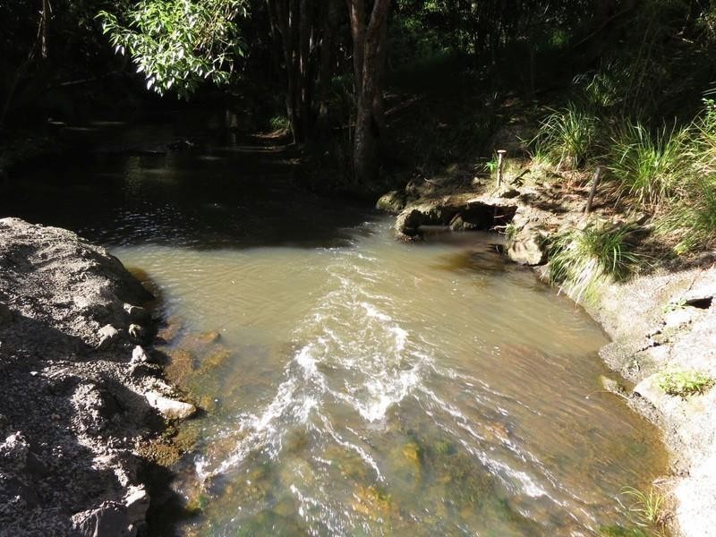 196 Rowlands creek Road, Uki NSW 2484