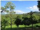 196 Rowlands creek Road, Uki NSW 2484