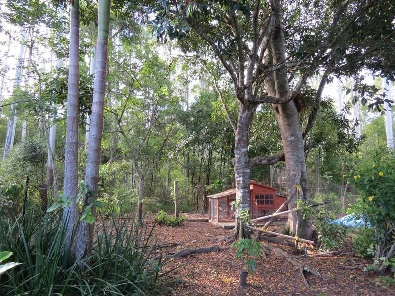 196 Rowlands creek Road, Uki NSW 2484