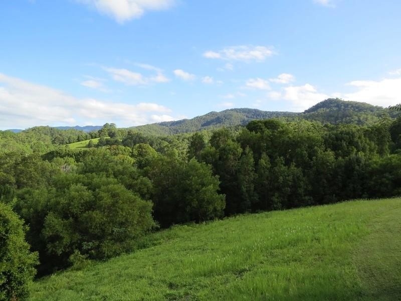 196 Rowlands creek Road, Uki NSW 2484