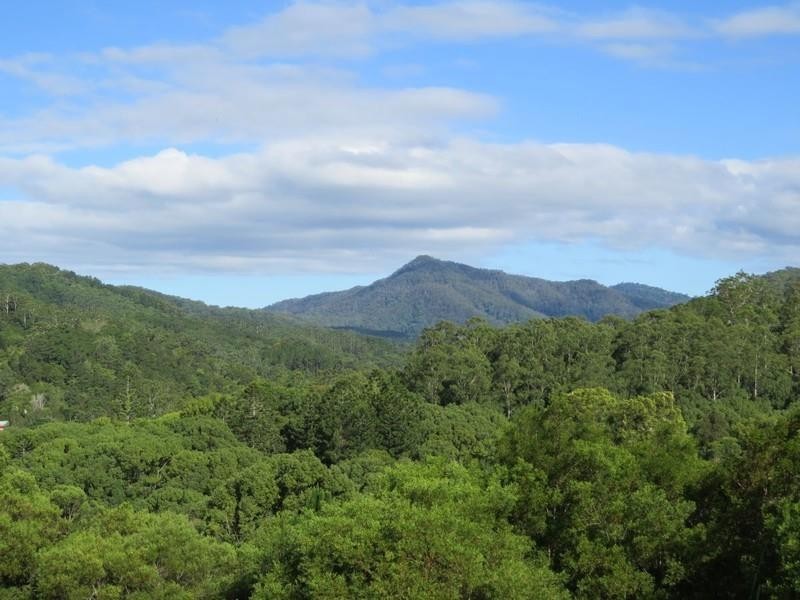 196 Rowlands creek Road, Uki NSW 2484