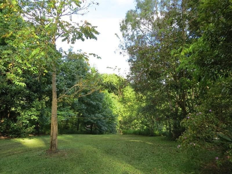 196 Rowlands creek Road, Uki NSW 2484