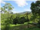 196 Rowlands creek Road, Uki NSW 2484
