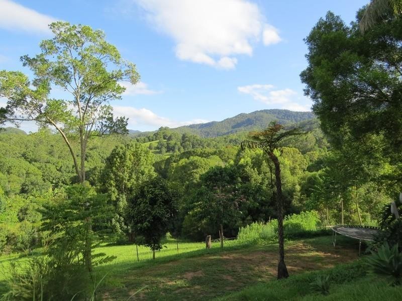 196 Rowlands creek Road, Uki NSW 2484