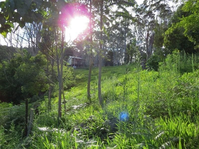 196 Rowlands creek Road, Uki NSW 2484