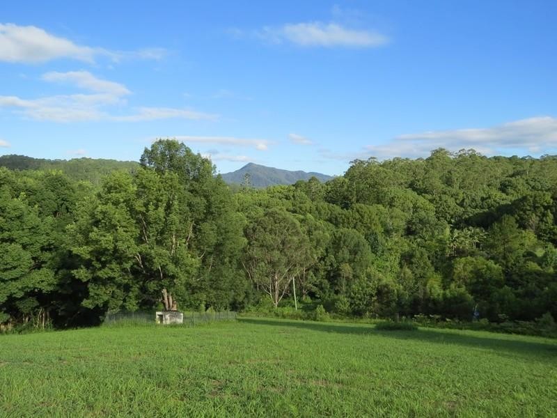 196 Rowlands creek Road, Uki NSW 2484