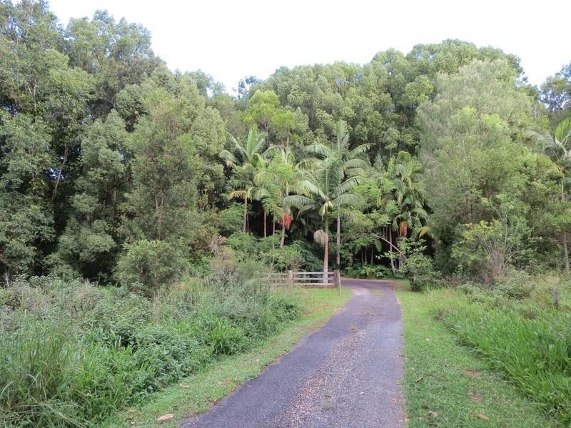 196 Rowlands creek Road, Uki NSW 2484