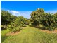 1038 Numinbah Road, Crystal Creek NSW 2484