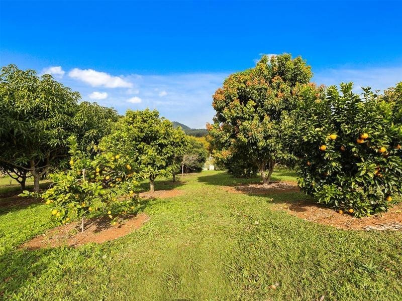 1038 Numinbah Road, Crystal Creek NSW 2484