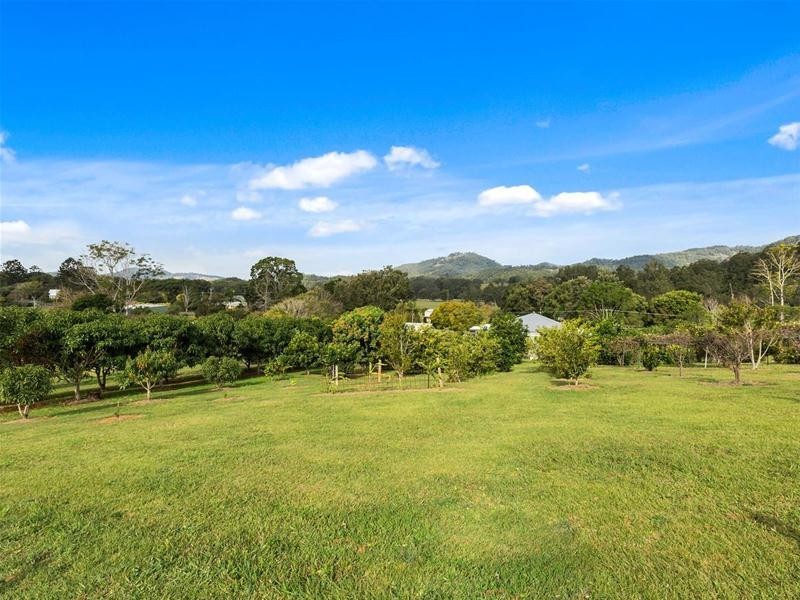 1038 Numinbah Road, Crystal Creek NSW 2484