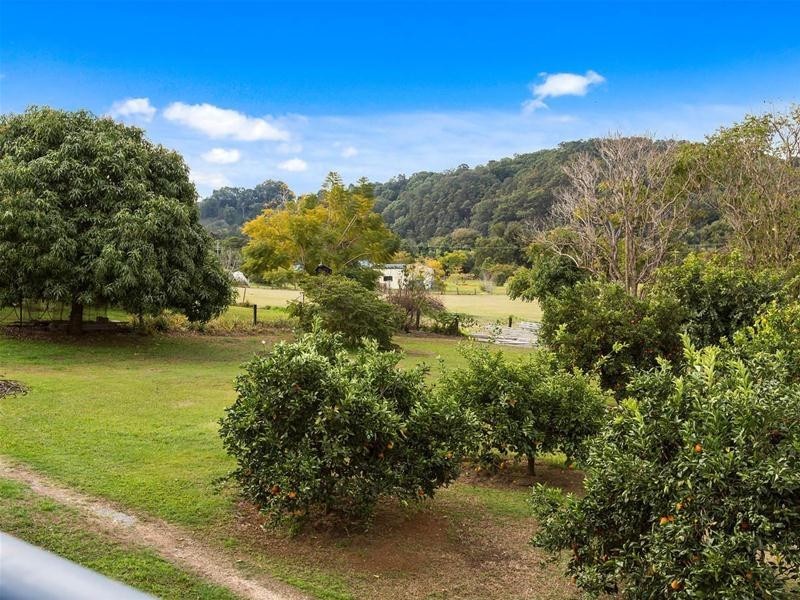 1038 Numinbah Road, Crystal Creek NSW 2484