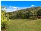 1038 Numinbah Road, Crystal Creek NSW 2484