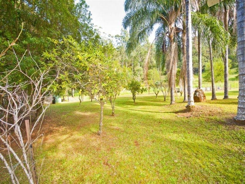 1983 Numinbah Road, Numinbah NSW 2484